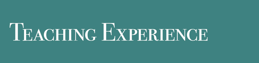 teaching experience banner