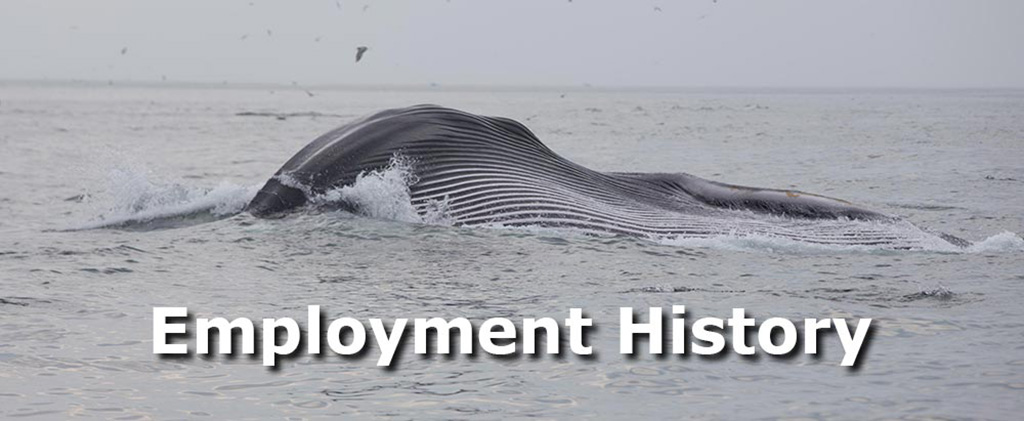 Employment History featuring humpback whale photography